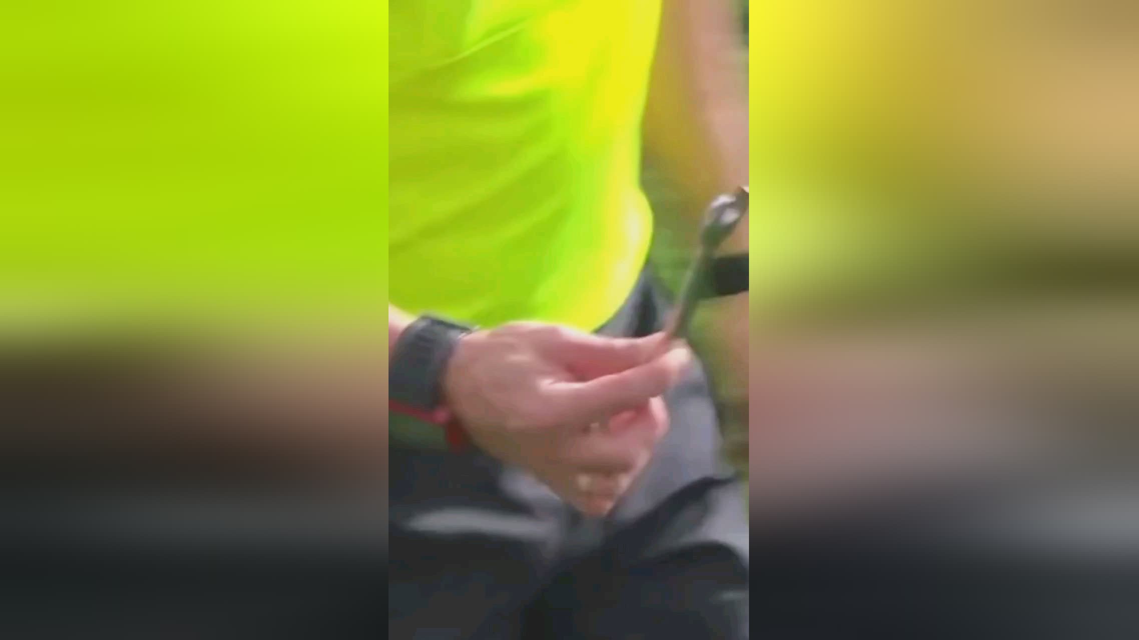 邱彪